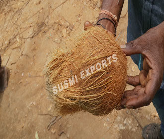 Coconut Exporters in Tamilnadu