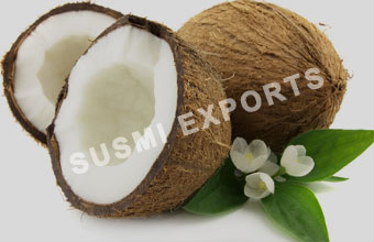 Coconut Exporters in India